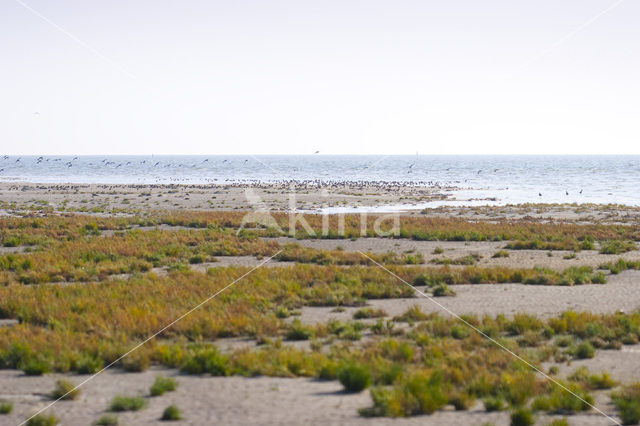 Nationaal park Schiermonnikoog