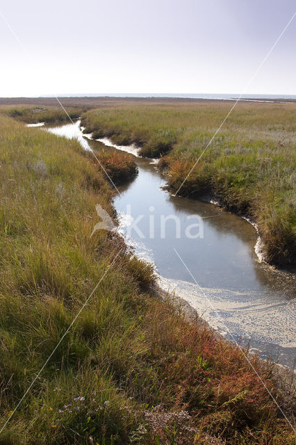 Nationaal park Schiermonnikoog