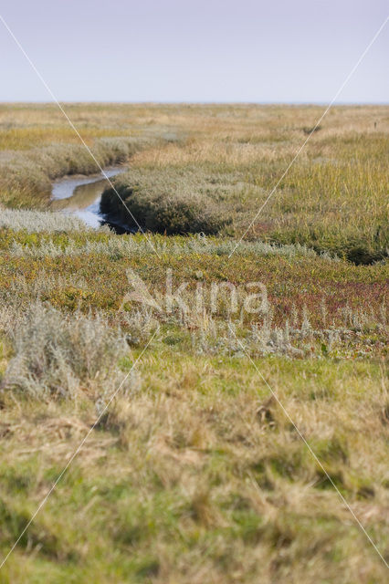 Nationaal park Schiermonnikoog