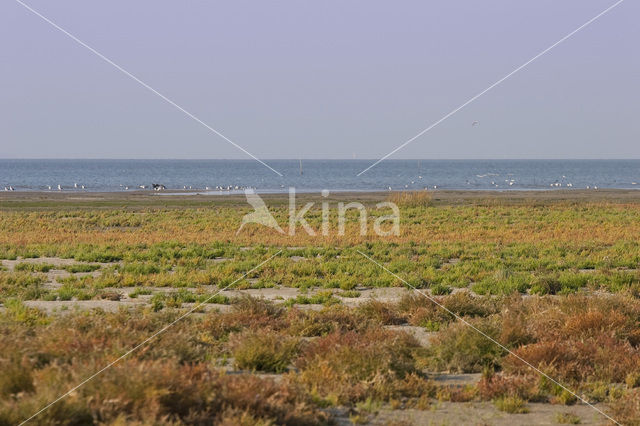 Nationaal park Schiermonnikoog