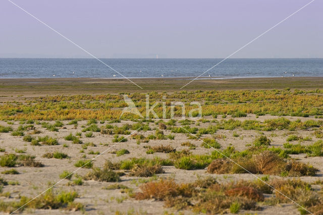 Nationaal park Schiermonnikoog