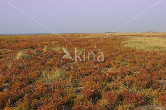 Nationaal park Schiermonnikoog