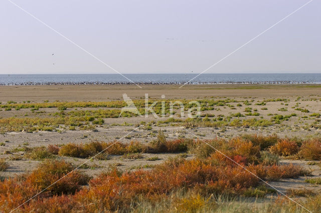 Nationaal park Schiermonnikoog