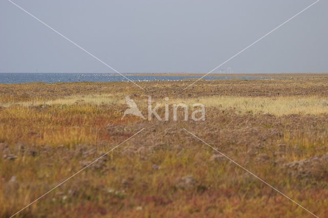 Nationaal park Schiermonnikoog