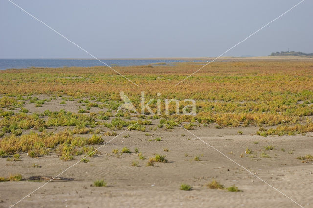 Nationaal park Schiermonnikoog