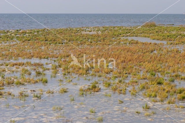 Nationaal park Schiermonnikoog