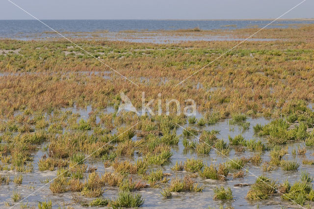 Nationaal park Schiermonnikoog