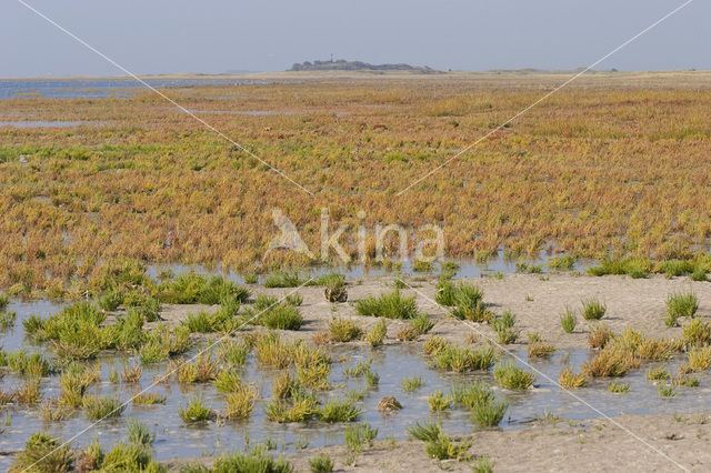 Nationaal park Schiermonnikoog