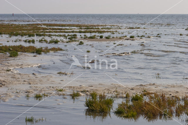 Nationaal park Schiermonnikoog