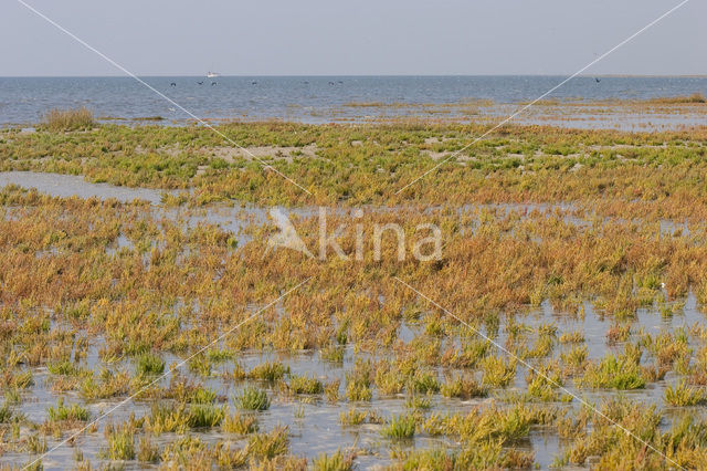 Nationaal park Schiermonnikoog