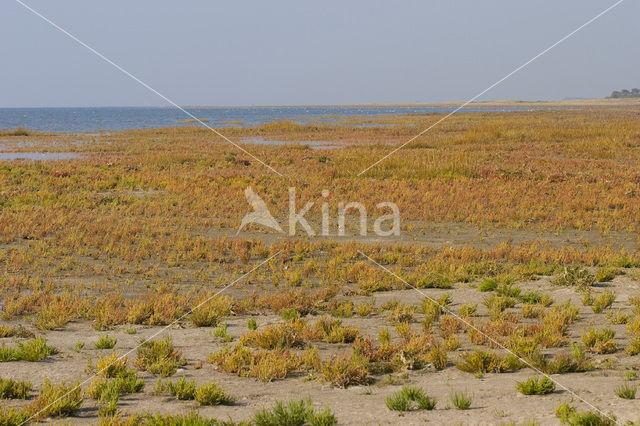 Nationaal park Schiermonnikoog