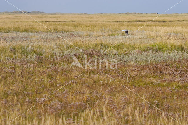 Nationaal park Schiermonnikoog