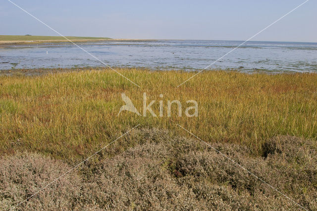 Nationaal park Schiermonnikoog