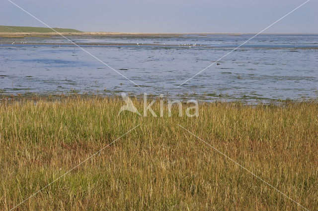 Nationaal park Schiermonnikoog