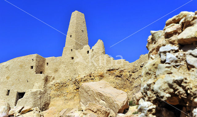 Siwa Oasis