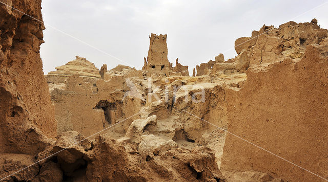 Siwa Oasis