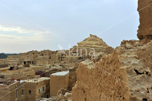 Siwa Oasis