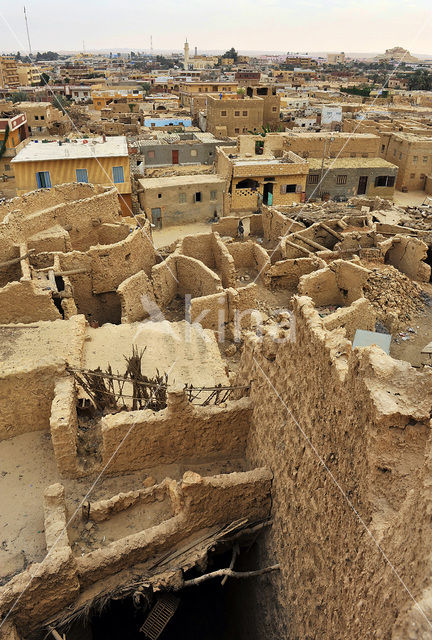 Siwa Oasis