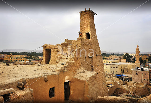 Siwa Oasis