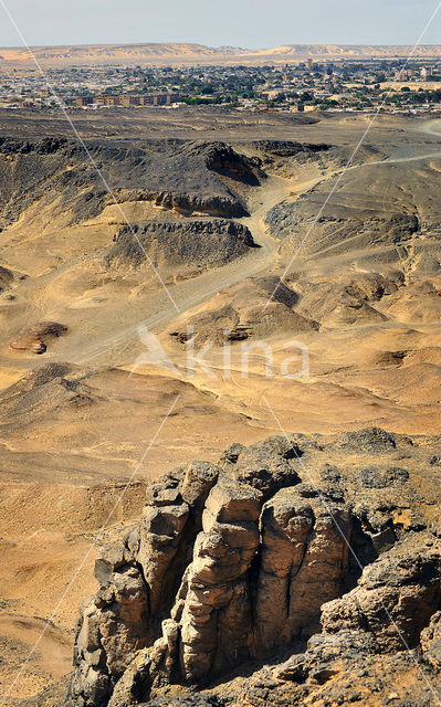 Bahariya Oasis