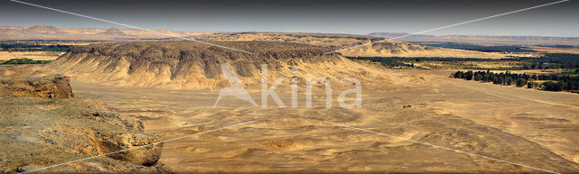 Bahariya Oasis