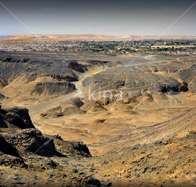 Bahariya Oasis