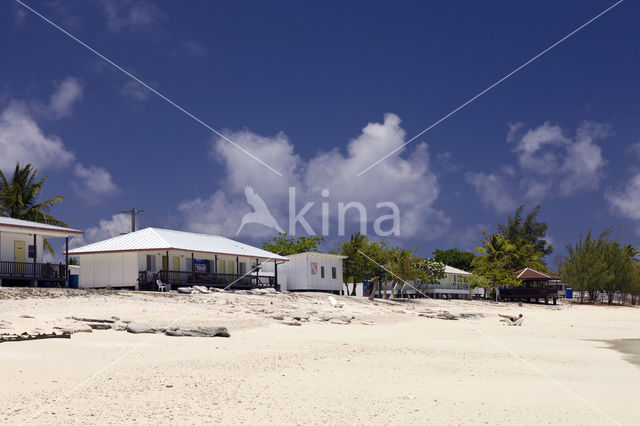 Bikini Island