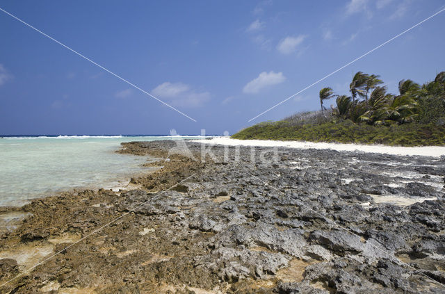 Bikini Island