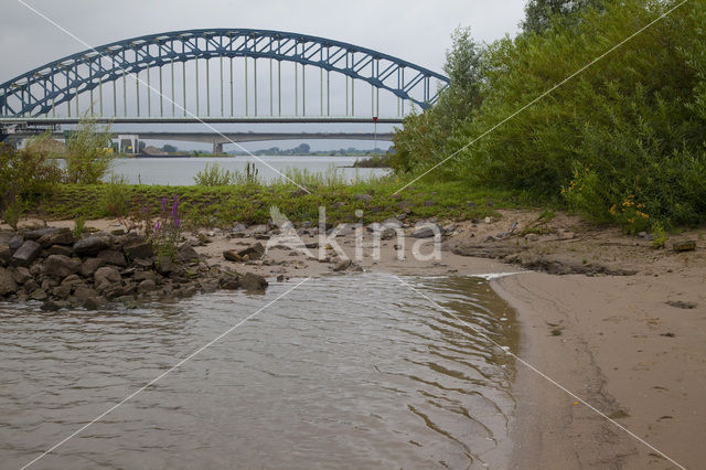 IJssel