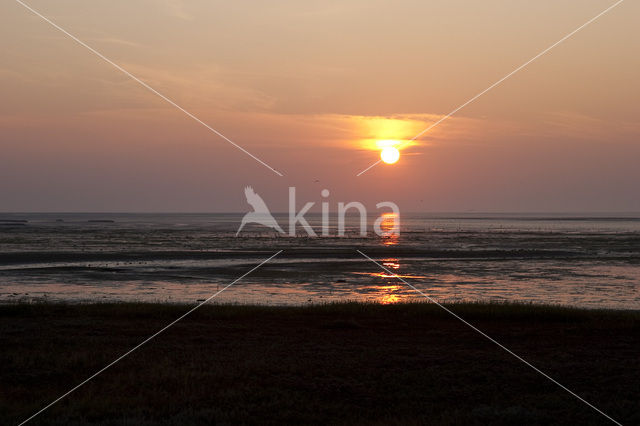 Nationaal park Schiermonnikoog