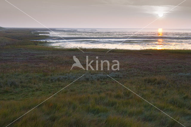 Nationaal park Schiermonnikoog