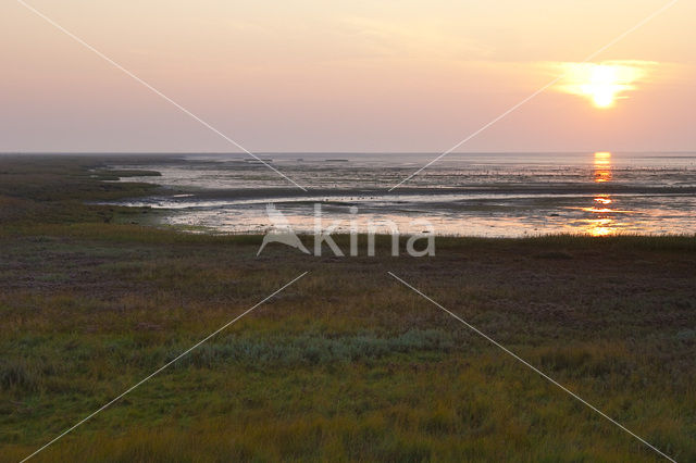 Nationaal park Schiermonnikoog