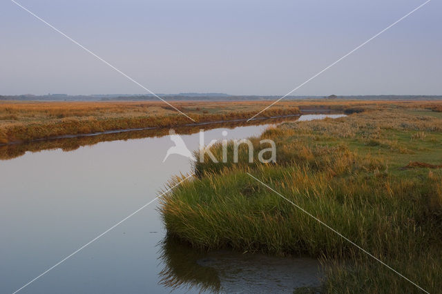 Nationaal park Schiermonnikoog