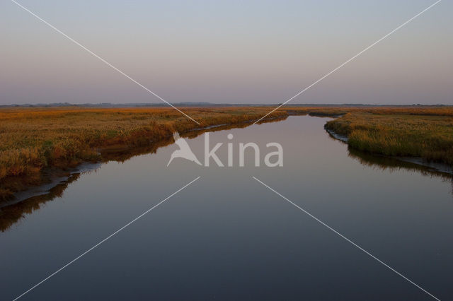 Nationaal park Schiermonnikoog