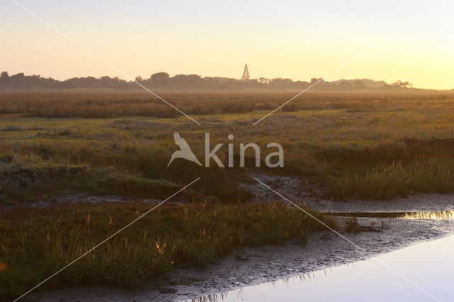 Nationaal park Schiermonnikoog