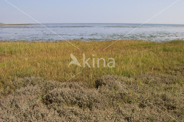 Nationaal park Schiermonnikoog