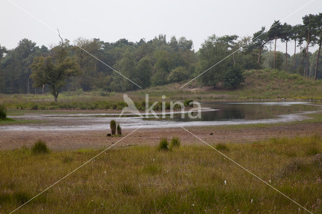 Overasseltse en Hatertse Vennen