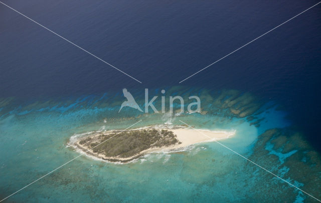 Rongelap Atoll