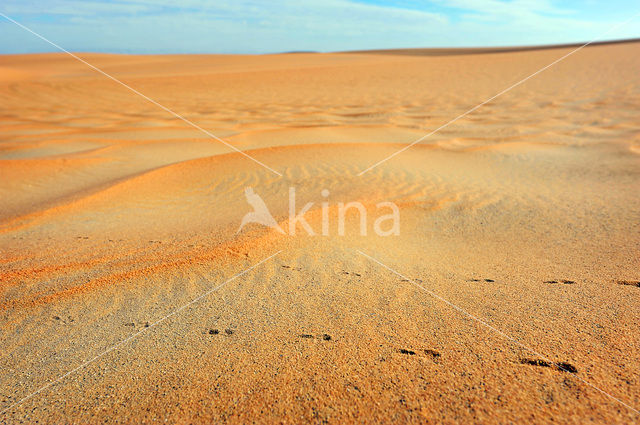 White Desert National Park