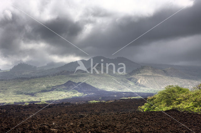 Ahihi-Kinau Natural Preserve