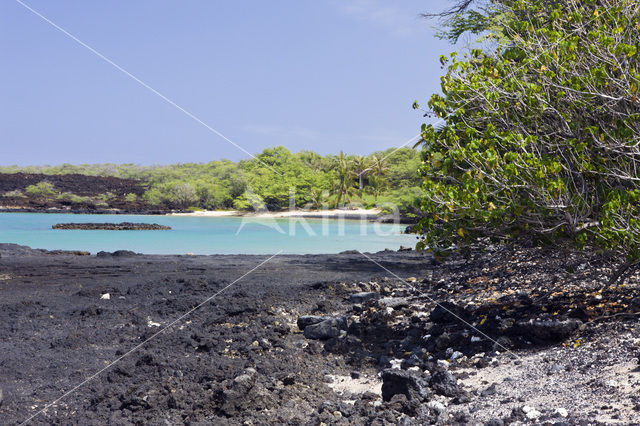 Ahihi-Kinau Natural Preserve