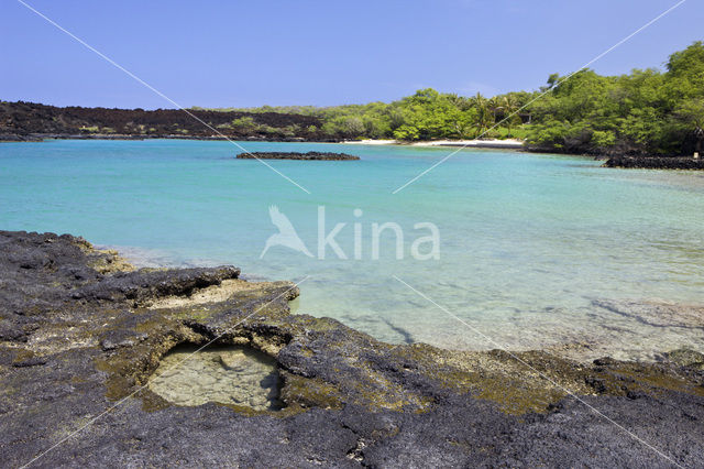 Ahihi-Kinau Natural Preserve