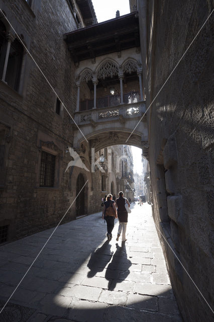 Carrer del Bisbe