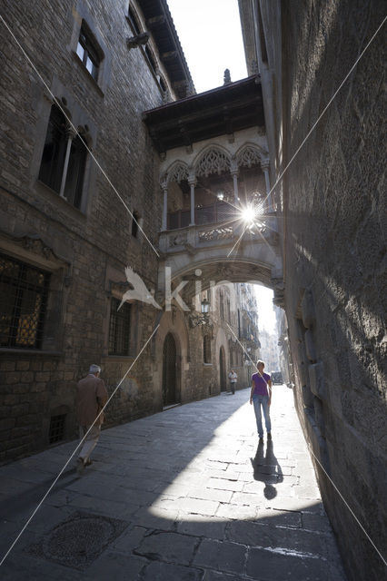 Carrer del Bisbe