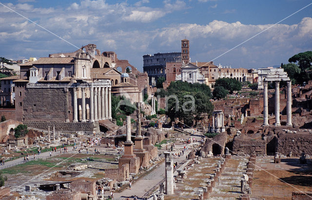 Forum Romanum