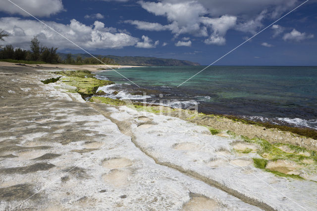 Haleiwa Beach Park