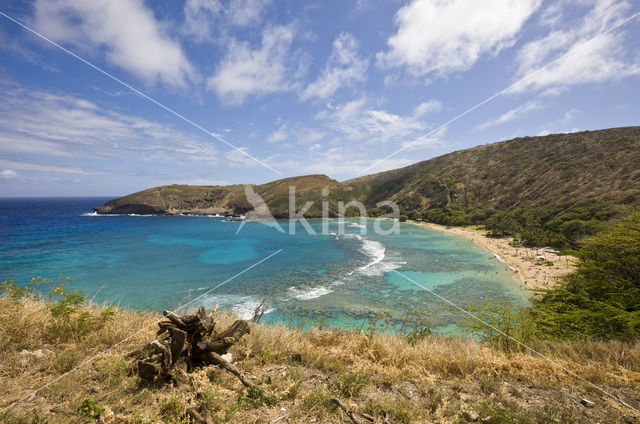 Hanauma Bay