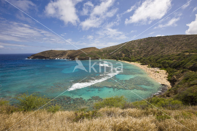 Hanauma Bay