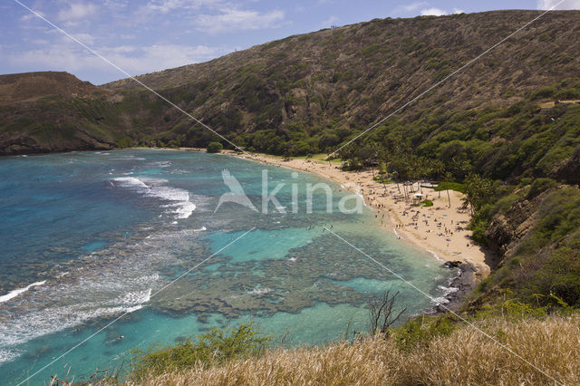 Hanauma Bay