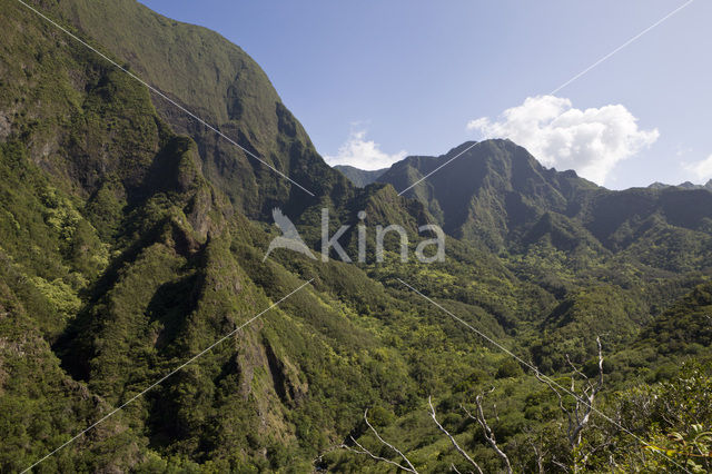 Iao Valley